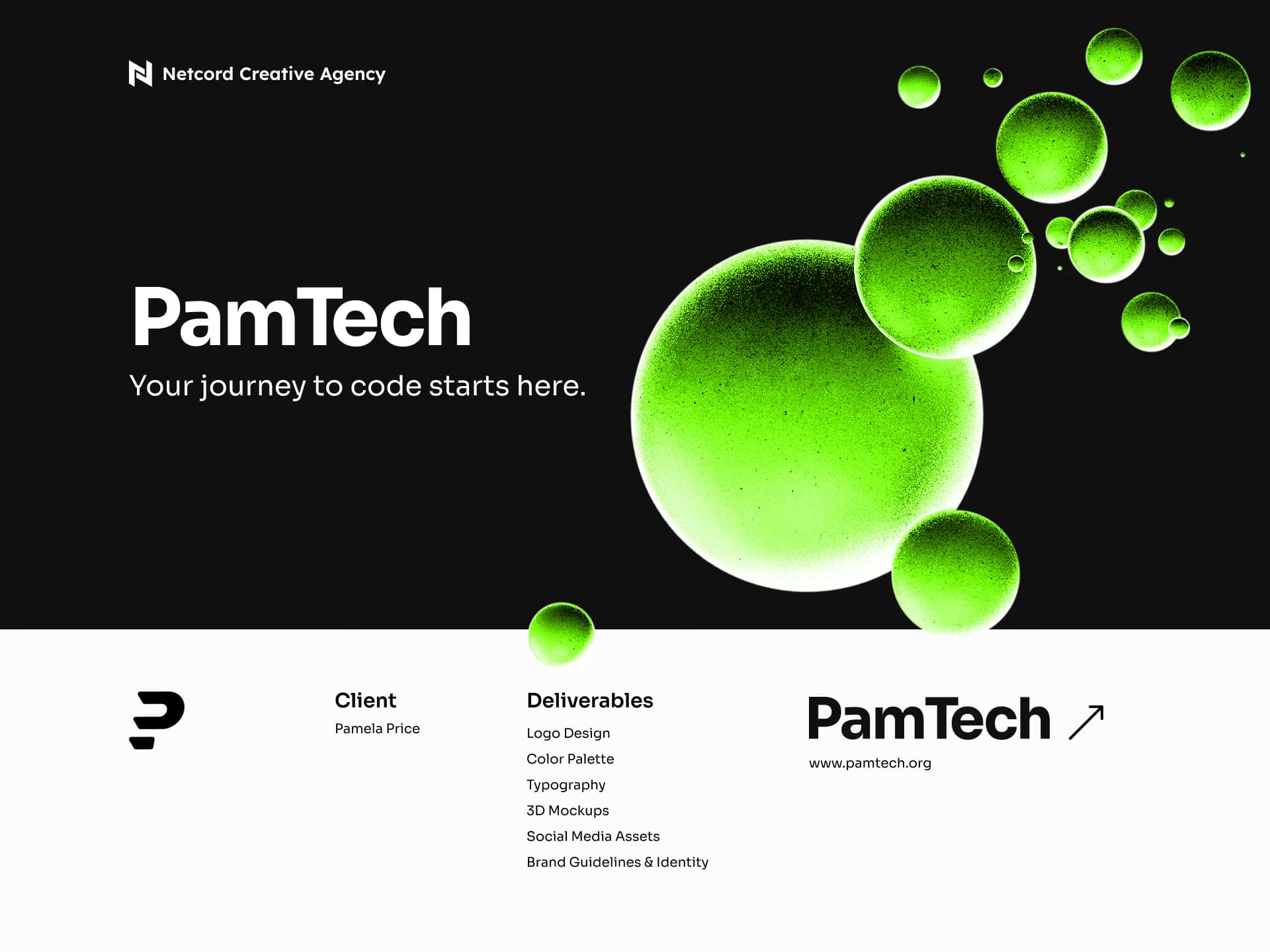 PamTech Branding Document